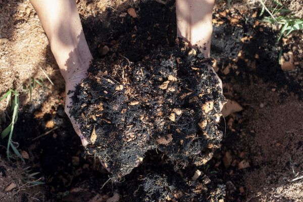 Organic Mulch Installation in Taylor