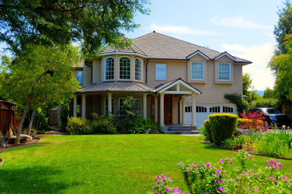 Large Yard Landscaping in Taylor