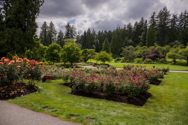 Flower Garden Landscaping in Taylor