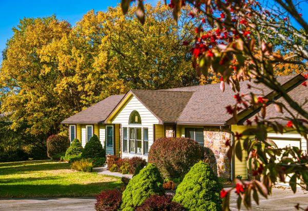 Ranch Landscaping in Taylor