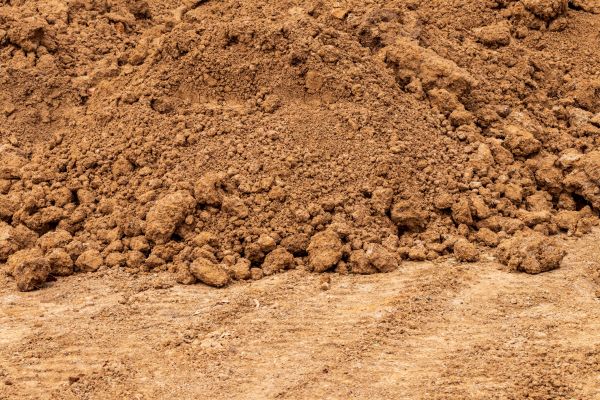 Sandy Loam Delivery in Taylor