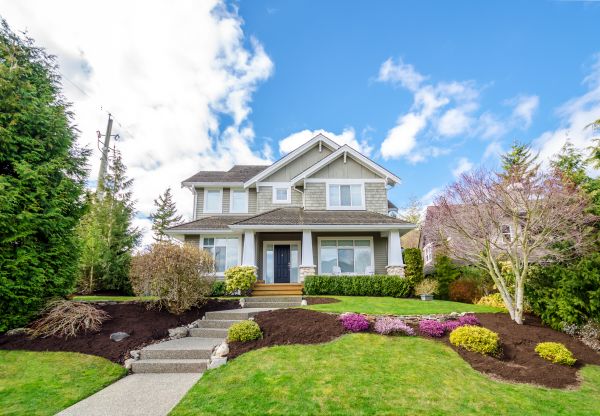 Landscaping Replacement in Taylor