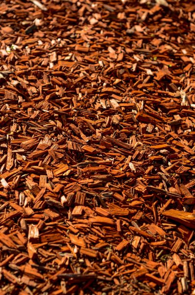Cedar Mulch Spreading in Taylor