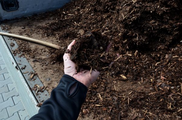 Condo Mulching in Taylor