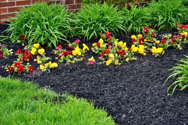 Apartment Mulching in Taylor