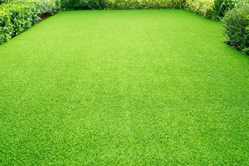 Lawn and Turf