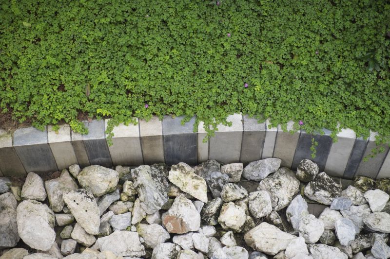 Lawn Curbing Service